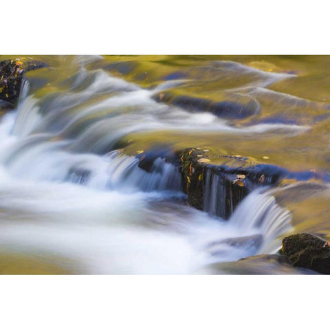 TN, Cherokee NF Reflections on North River Black Modern Wood Framed Art Print with Double Matting by Paulson, Don