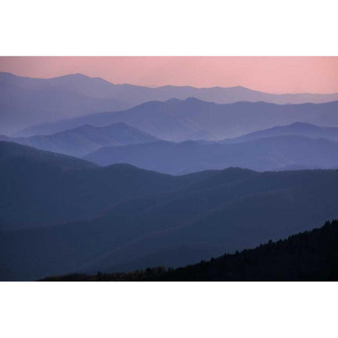 TN, Great Smoky Mts Mountain ridges at sunset Gold Ornate Wood Framed Art Print with Double Matting by Grall, Don