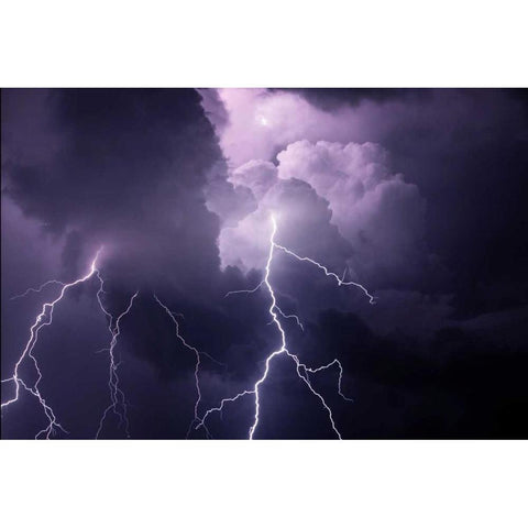 TN, Composite of cloud-to-cloud lightning bolts Black Modern Wood Framed Art Print with Double Matting by Zuckerman, Jim