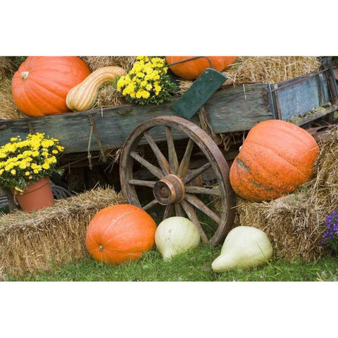 Tennessee, Townsend Halloween display Black Modern Wood Framed Art Print with Double Matting by Zuckerman, Jim