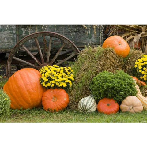 Tennessee, Townsend Halloween display Black Modern Wood Framed Art Print by Zuckerman, Jim