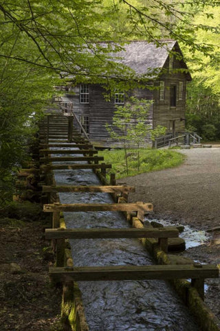 TN, Great Smoky Mts Wooden flume directs water Black Ornate Wood Framed Art Print with Double Matting by Grall, Don