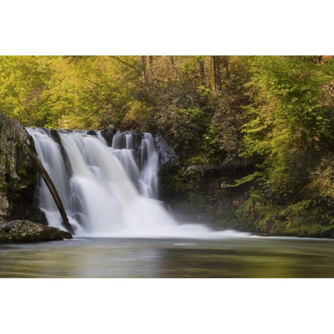 Tennessee, Great Smoky Mts Abrams Falls Black Modern Wood Framed Art Print by Grall, Don
