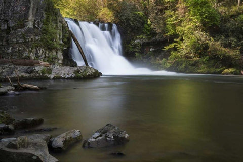 Tennessee, Great Smoky Mts Abrams Falls White Modern Wood Framed Art Print with Double Matting by Grall, Don