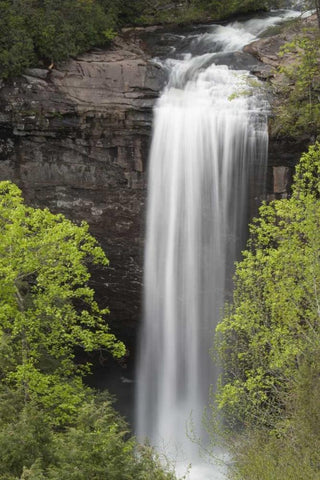 TN, Foster Falls Wild Area Waterfall scenic Black Ornate Wood Framed Art Print with Double Matting by Grall, Don