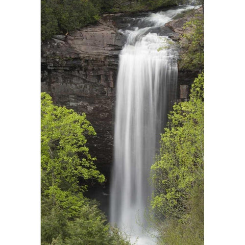TN, Foster Falls Wild Area Waterfall scenic Black Modern Wood Framed Art Print by Grall, Don