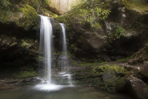 Tennessee, Great Smoky Mts Grotto Falls scenic Black Ornate Wood Framed Art Print with Double Matting by Grall, Don