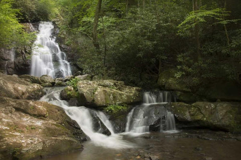 TN, Great Smoky Mts Indian Flats Falls landscape White Modern Wood Framed Art Print with Double Matting by Grall, Don