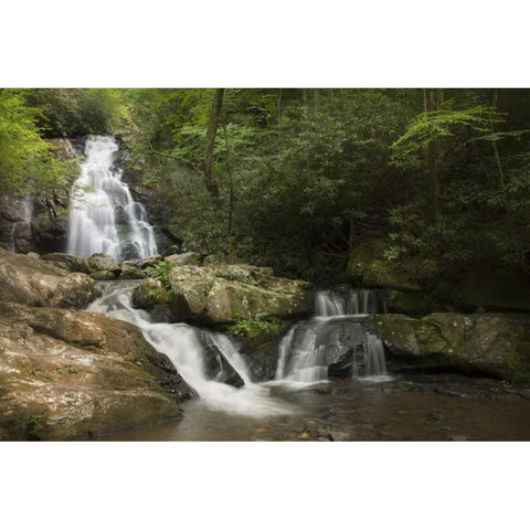 TN, Great Smoky Mts Indian Flats Falls landscape Black Modern Wood Framed Art Print by Grall, Don