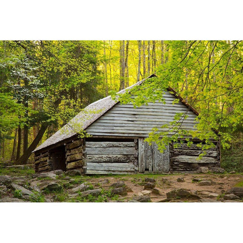 Tennessee Old barn at Bud Ogle cabin along Roaring Fork Nature Trail Black Modern Wood Framed Art Print with Double Matting by Wells, Joanne