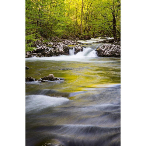 Tennessee Sparks Lane in the spring at Cades Cove Gold Ornate Wood Framed Art Print with Double Matting by Wells, Joanne
