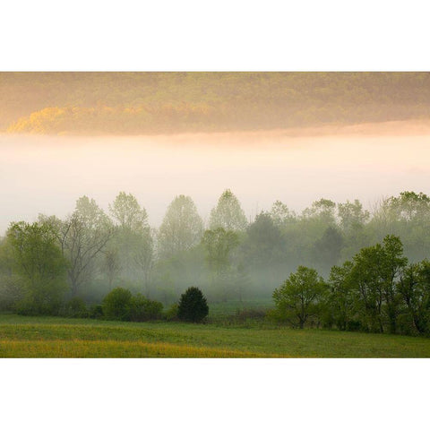 Tennessee Early morning fog in Cades Cove Black Modern Wood Framed Art Print by Wells, Joanne