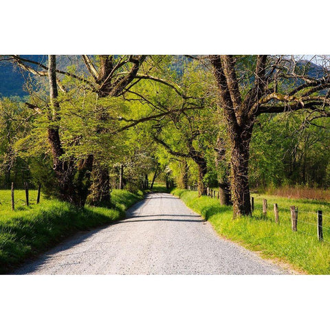 Tennessee-Sparks Lane in the spring at Cades Cove Black Modern Wood Framed Art Print by Wells, Joanne