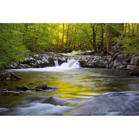 Tennessee-Evening reflections in the Little River at Tremont Black Modern Wood Framed Art Print with Double Matting by Wells, Joanne