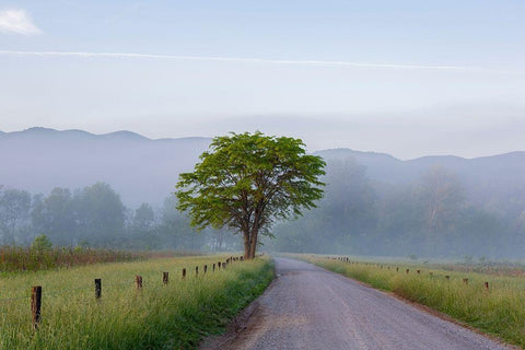 Hyatt Lane in fog Cades Cove Great Smoky Mountains National Park-Tennessee Black Ornate Wood Framed Art Print with Double Matting by Day, Richard and Susan
