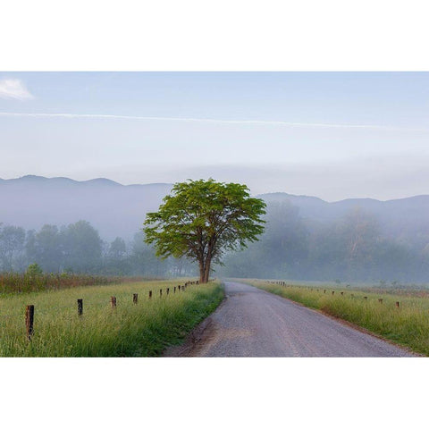 Hyatt Lane in fog Cades Cove Great Smoky Mountains National Park-Tennessee Black Modern Wood Framed Art Print by Day, Richard and Susan