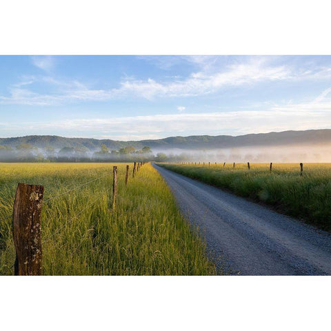 Hyatt Lane in fog Cades Cove Great Smoky Mountains National Park-Tennessee Gold Ornate Wood Framed Art Print with Double Matting by Day, Richard and Susan