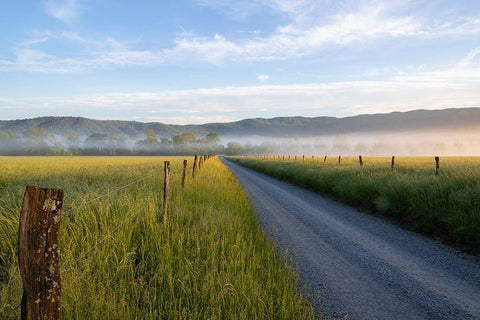 Hyatt Lane in fog Cades Cove Great Smoky Mountains National Park-Tennessee White Modern Wood Framed Art Print with Double Matting by Day, Richard and Susan