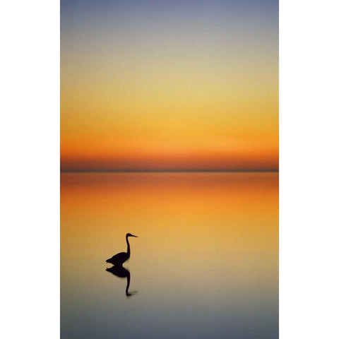 Texas, Port Aransas, Great Blue Heron at sunset Gold Ornate Wood Framed Art Print with Double Matting by Rotenberg, Nancy
