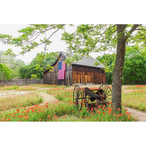 Castroville-Texas-USA-Large American flag on a barn in the Texas Hill Country White Modern Wood Framed Art Print by Wilson, Emily M.