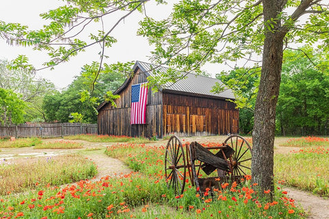Castroville-Texas-USA-Large American flag on a barn in the Texas Hill Country Black Ornate Wood Framed Art Print with Double Matting by Wilson, Emily M.