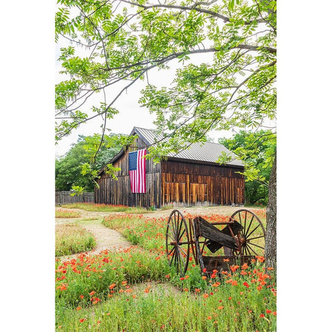 Castroville-Texas-USA-Large American flag on a barn in the Texas Hill Country Black Modern Wood Framed Art Print with Double Matting by Wilson, Emily M.
