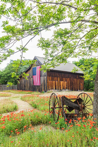 Castroville-Texas-USA-Large American flag on a barn in the Texas Hill Country White Modern Wood Framed Art Print with Double Matting by Wilson, Emily M.