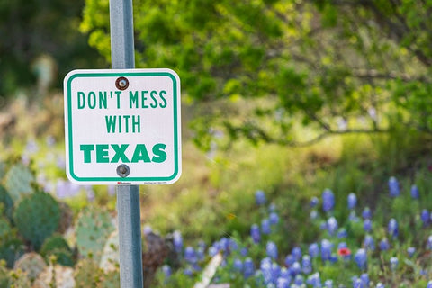 Llano-Texas-USA-Dont Mess With Texas sign in the hill country White Modern Wood Framed Art Print with Double Matting by Wilson, Emily M.