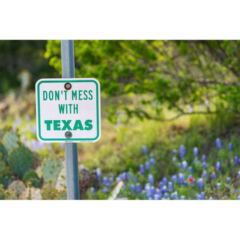 Llano-Texas-USA-Dont Mess With Texas sign in the hill country Gold Ornate Wood Framed Art Print with Double Matting by Wilson, Emily M.