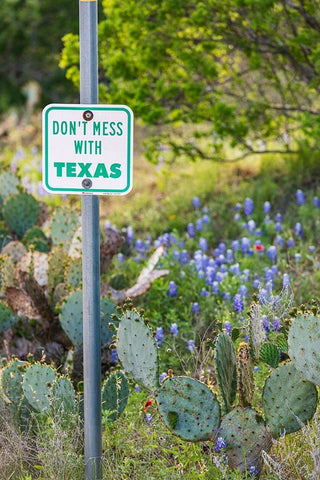 Llano-Texas-USA-Dont Mess With Texas sign in the hill country White Modern Wood Framed Art Print with Double Matting by Wilson, Emily M.