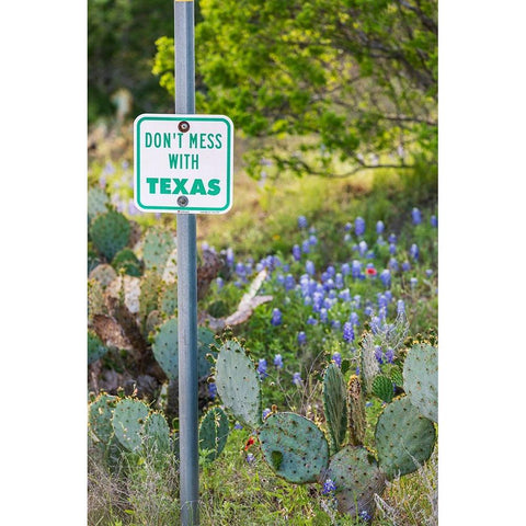 Llano-Texas-USA-Dont Mess With Texas sign in the hill country Black Modern Wood Framed Art Print by Wilson, Emily M.