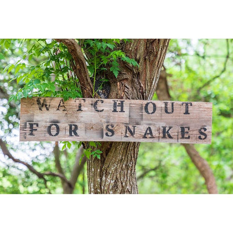 Castroville-Texas-USA-Sign warning snakes in the Texas Hill Country Black Modern Wood Framed Art Print by Wilson, Emily M.