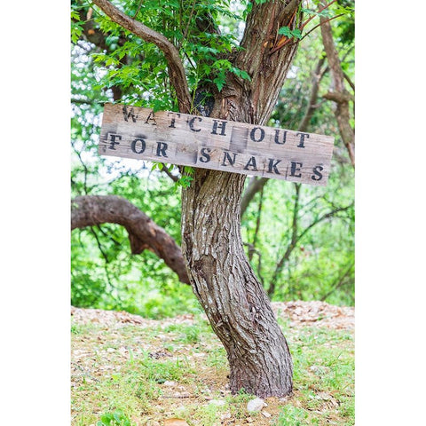 Castroville-Texas-USA-Sign warning snakes in the Texas Hill Country Gold Ornate Wood Framed Art Print with Double Matting by Wilson, Emily M.