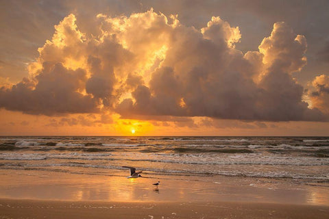 Sunrise on Gulf of Mexico at South Padre Island White Modern Wood Framed Art Print with Double Matting by Ditto, Larry