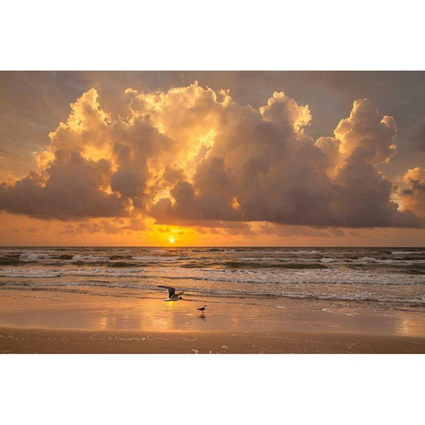 Sunrise on Gulf of Mexico at South Padre Island Gold Ornate Wood Framed Art Print with Double Matting by Ditto, Larry