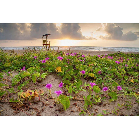 Sunrise at South Padre Island Black Modern Wood Framed Art Print by Ditto, Larry