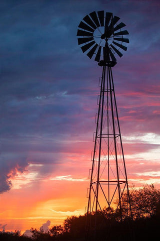 Windmill at sunrise Black Ornate Wood Framed Art Print with Double Matting by Ditto, Larry