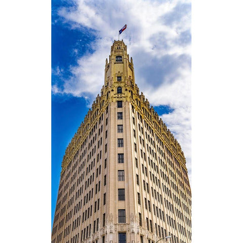 Emily Morgan West Hotel Texas Flag Next to Alamo-San Antonio-Texas Emily West-yellow Rose of Texas Black Modern Wood Framed Art Print by Perry, William