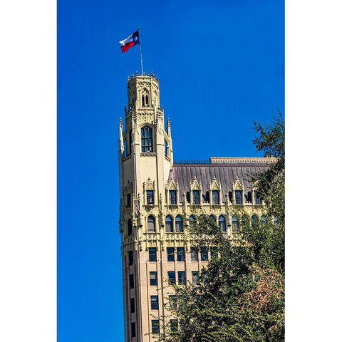 Emily Morgan West Hotel Texas Flag Next to Alamo-San Antonio-Texas Emily West-yellow Rose of Texas Black Modern Wood Framed Art Print with Double Matting by Perry, William
