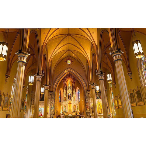 Basilica Stained glass Saint Joseph Catholic Church-San Antonio-Texas Built in 1871 Black Modern Wood Framed Art Print by Perry, William