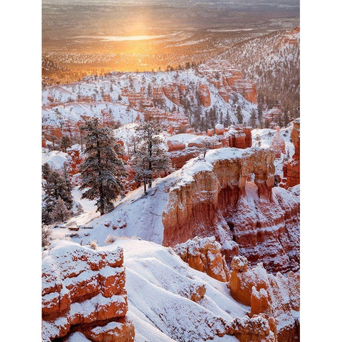 USA, Utah, Bryce Canyon National Park, Sunrise from Sunrise Point after fresh snowfall Black Modern Wood Framed Art Print by Collins, Ann