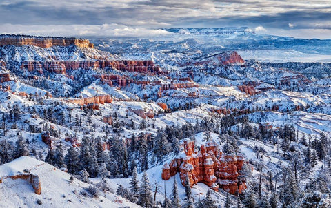 Utah-Bryce Canyon National Park-Buttes and hoodoos on a winter morning White Modern Wood Framed Art Print with Double Matting by Collins, Ann