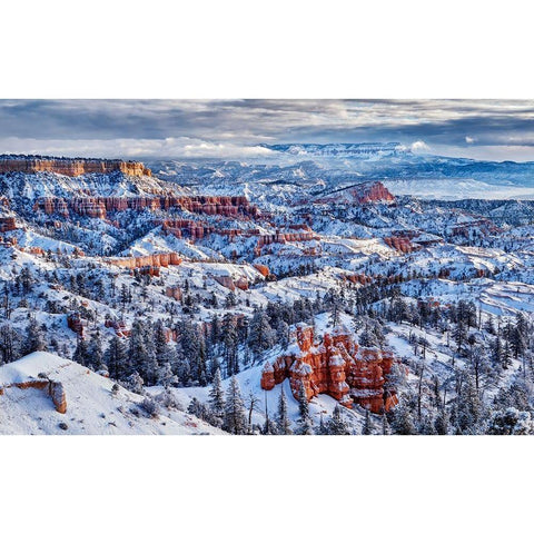 Utah-Bryce Canyon National Park-Buttes and hoodoos on a winter morning Gold Ornate Wood Framed Art Print with Double Matting by Collins, Ann
