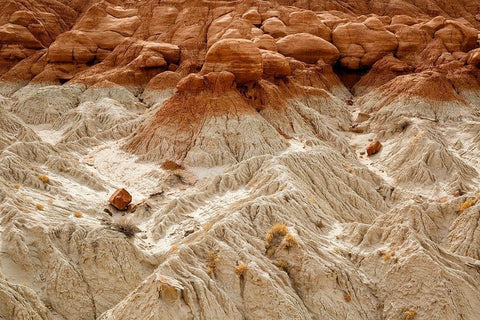 Utah-Grand Staircase-Escalante National Monument-Toadstools area White Modern Wood Framed Art Print with Double Matting by Collins, Ann