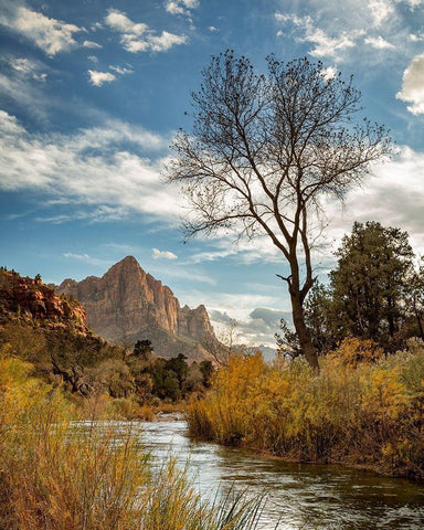 Utah-Zion National Park-Virgin River and The Watchman near sunset White Modern Wood Framed Art Print with Double Matting by Collins, Ann
