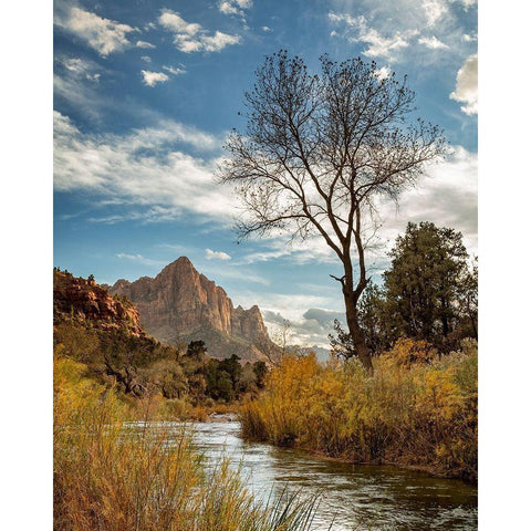 Utah-Zion National Park-Virgin River and The Watchman near sunset Black Modern Wood Framed Art Print by Collins, Ann