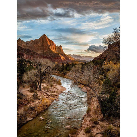 Utah-Zion National Park-Sunset lights up The Watchman and the Virgin River White Modern Wood Framed Art Print by Collins, Ann