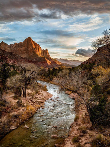 Utah-Zion National Park-Sunset lights up The Watchman and the Virgin River White Modern Wood Framed Art Print with Double Matting by Collins, Ann