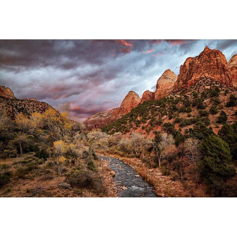 Utah-Zion National Park-A fiery sunset lights up Zions Virgin River and cottonwood trees Black Modern Wood Framed Art Print with Double Matting by Collins, Ann