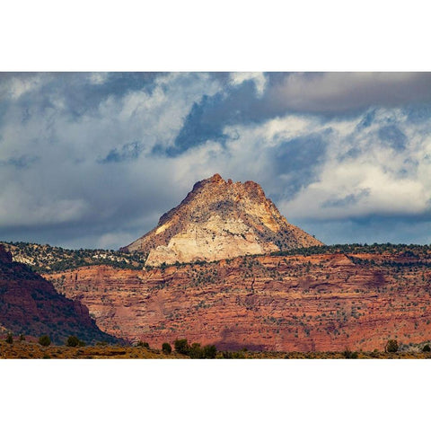 USA-Utah Mollies Nipple from US Hwy 89 White Modern Wood Framed Art Print by Friel, Bernard